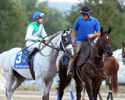 Dragoon Guard - The West Virginia Derby G3 08-04-24 R08 Mnr Post Parade 04 Mountaineer Park