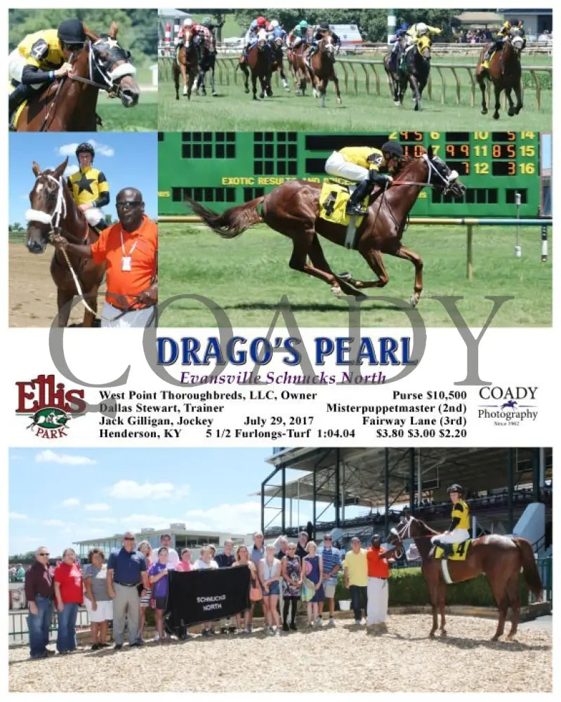 Drago’s Pearl - 072917 Race 03 Elp Ellis Park