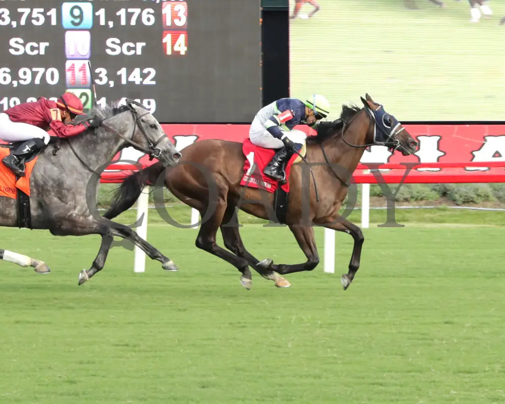 Dream Shake - The Van Clief Stakes 08-11-24 R08 Cnl Finish 01 Colonial Downs