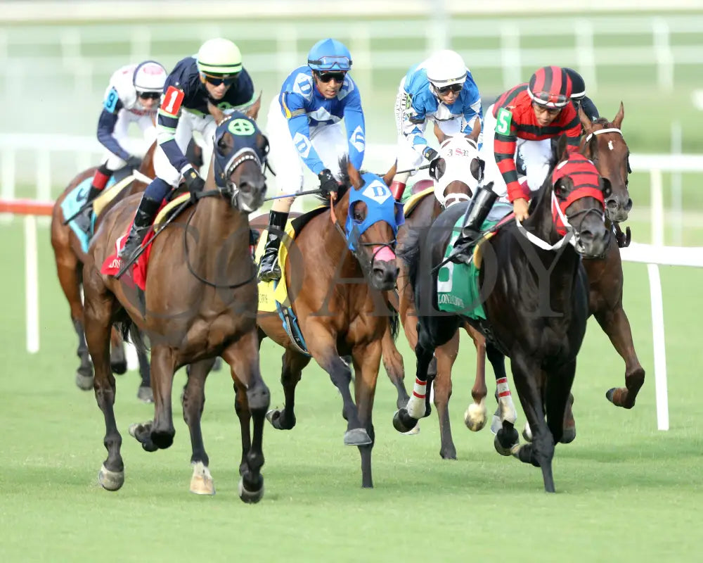 Dream Shake - The Van Clief Stakes 08-11-24 R08 Cnl Finish 02 Colonial Downs