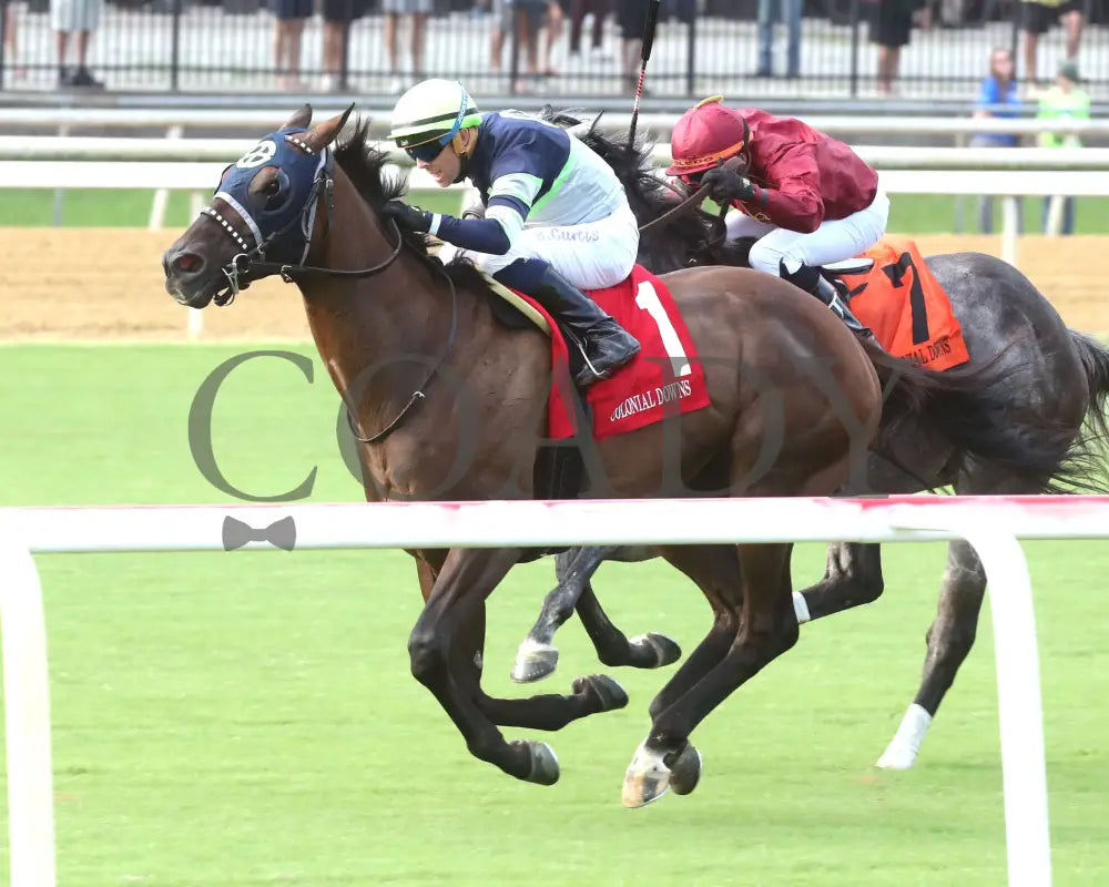 Dream Shake - The Van Clief Stakes 08-11-24 R08 Cnl Inside Finish 01 Colonial Downs