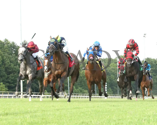 Dream Shake - The Van Clief Stakes 08-11-24 R08 Cnl Under Rail 01 Colonial Downs