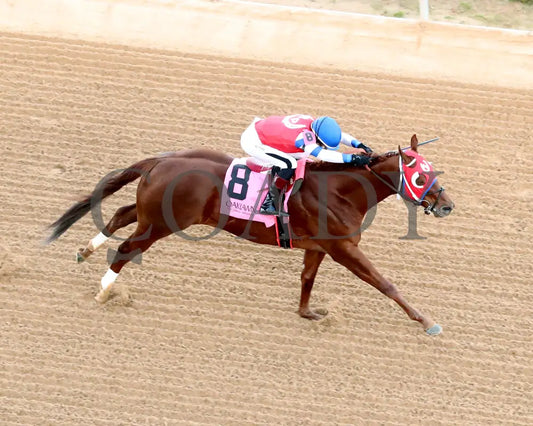 DREAMINBLUE - SILKS OVERNIGHT STAKES - 12-19-25 - R09 - OP - Aerial Finish 01 - Coady Media - Kurtis Coady Photography