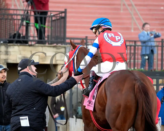 DREAMINBLUE - SILKS OVERNIGHT STAKES - 12-19-25 - R09 - OP - Celebration 01 - Coady Media - Kurtis Coady Photography