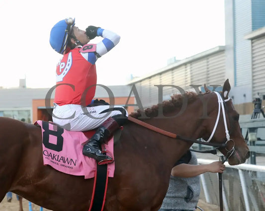DREAMINBLUE - SILKS OVERNIGHT STAKES - 12-19-25 - R09 - OP - Celebration 02 - Coady Media - Kurtis Coady Photography