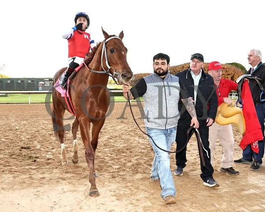 DREAMINBLUE - SILKS OVERNIGHT STAKES - 12-19-25 - R09 - OP - Come Back 01 - Coady Media - Kurtis Coady Photography