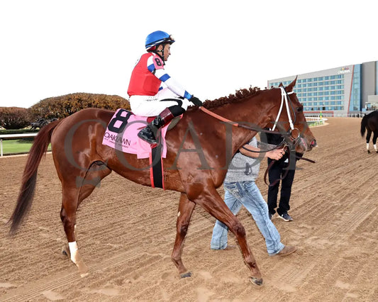 DREAMINBLUE - SILKS OVERNIGHT STAKES - 12-19-25 - R09 - OP - Come Back 02 - Coady Media - Kurtis Coady Photography