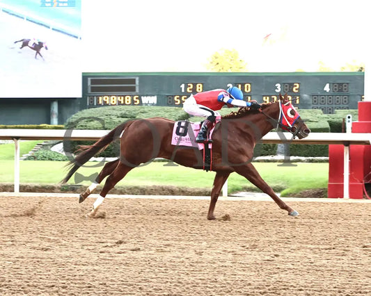 DREAMINBLUE - SILKS OVERNIGHT STAKES - 12-19-25 - R09 - OP - Finish 01 - Coady Media - Kurtis Coady Photography