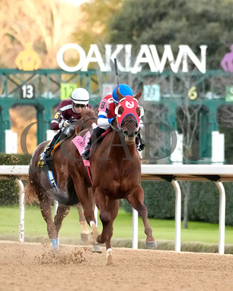 DREAMINBLUE - SILKS OVERNIGHT STAKES - 12-19-25 - R09 - OP - Finish 02 - Coady Media - Kurtis Coady Photography