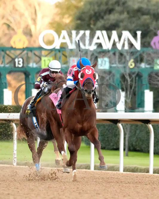 DREAMINBLUE - SILKS OVERNIGHT STAKES - 12-19-25 - R09 - OP - Finish 02 - Coady Media - Kurtis Coady Photography