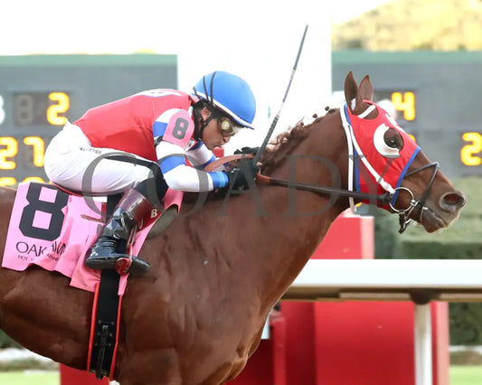 DREAMINBLUE - SILKS OVERNIGHT STAKES - 12-19-25 - R09 - OP - Finish 03 - Coady Media - Kurtis Coady Photography
