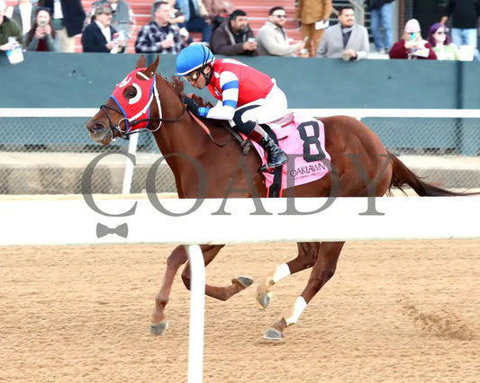 DREAMINBLUE - SILKS OVERNIGHT STAKES - 12-19-25 - R09 - OP - Inside Finish 01 - Coady Media - Kurtis Coady Photography