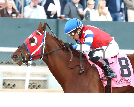 DREAMINBLUE - SILKS OVERNIGHT STAKES - 12-19-25 - R09 - OP - Inside Finish 02 - Coady Media - Kurtis Coady Photography