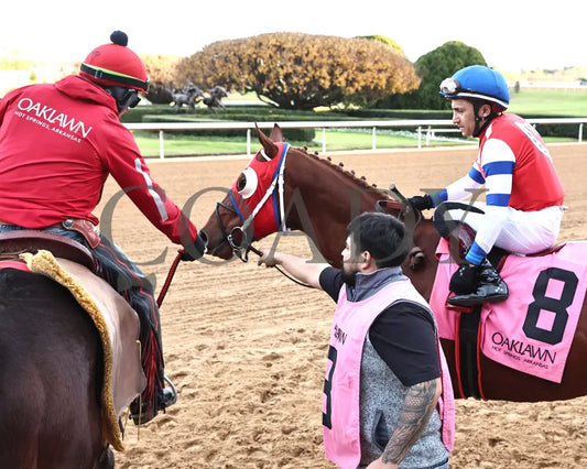 DREAMINBLUE - SILKS OVERNIGHT STAKES - 12-19-25 - R09 - OP - Post Parade 03 - Coady Media - Kurtis Coady Photography