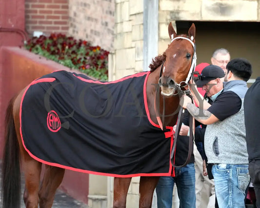 DREAMINBLUE - SILKS OVERNIGHT STAKES - 12-19-25 - R09 - OP - Presentation 02 - Coady Media - Kurtis Coady Photography