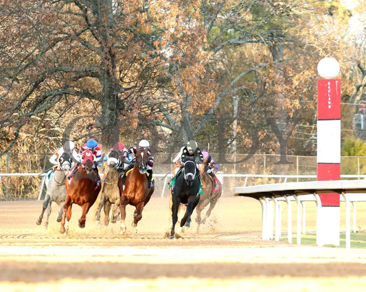 DREAMINBLUE - SILKS OVERNIGHT STAKES - 12-19-25 - R09 - OP - Turn Shot 01 - Coady Media - Kurtis Coady Photography
