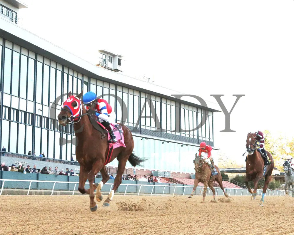 DREAMINBLUE - SILKS OVERNIGHT STAKES - 12-19-25 - R09 - OP - Under Rail 01 - Coady Media - Kurtis Coady Photography
