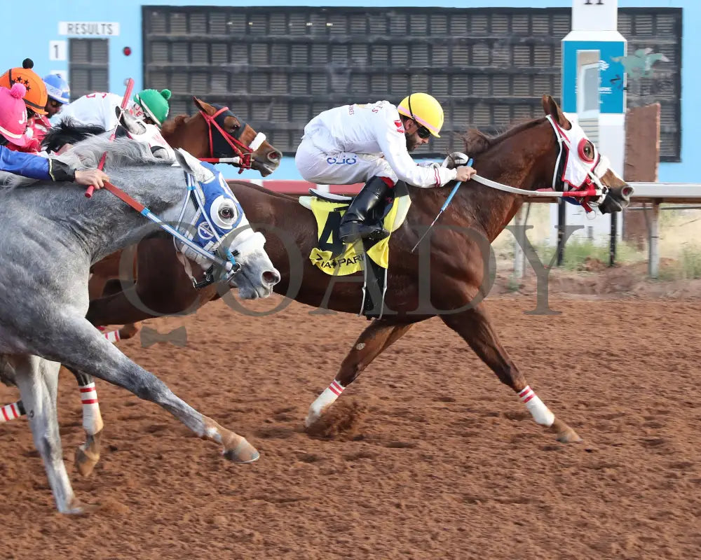 Drest For Success - New Mexico Classic Derby 12-15-24 R11 Zia Park Finish