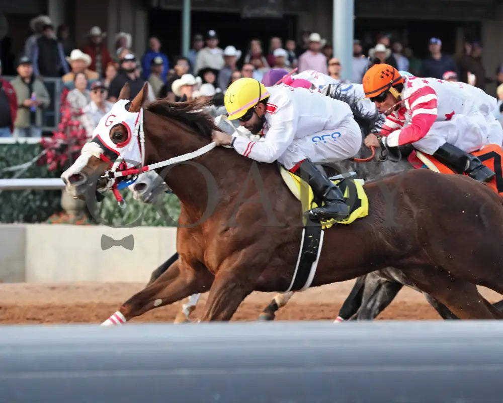 Drest For Success - New Mexico Classic Derby 12-15-24 R11 Zia Park Inside Finish 2