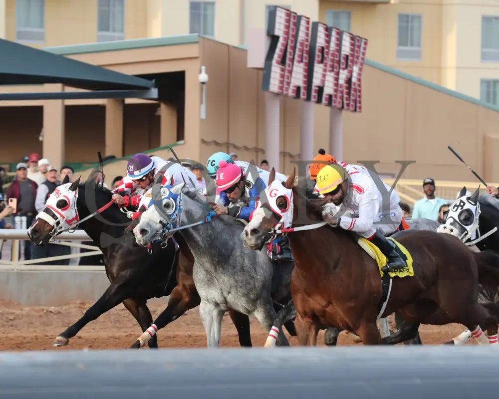 Drest For Success - New Mexico Classic Derby 12-15-24 R11 Zia Park Inside Finish