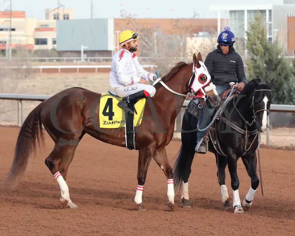 Drest For Success - New Mexico Classic Derby 12-15-24 R11 Zia Park Post Parade