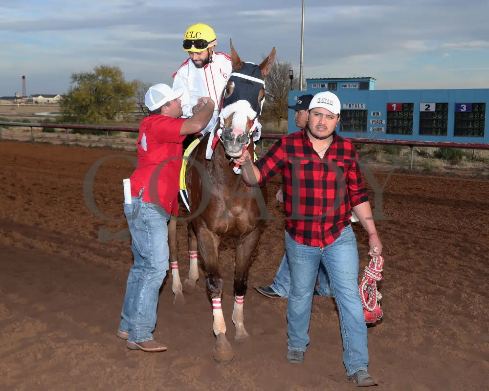 Drest For Success - New Mexico Classic Derby 12-15-24 R11 Zia Park Return Shot 2