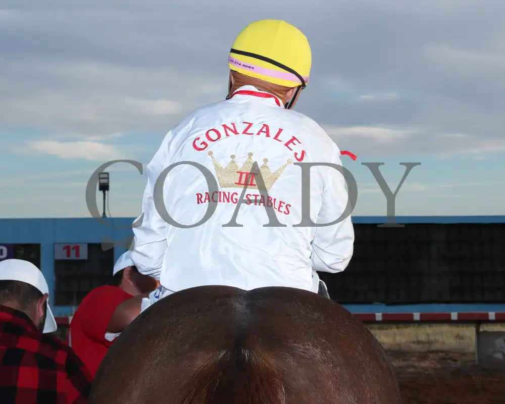 Drest For Success - New Mexico Classic Derby 12-15-24 R11 Zia Park Silks