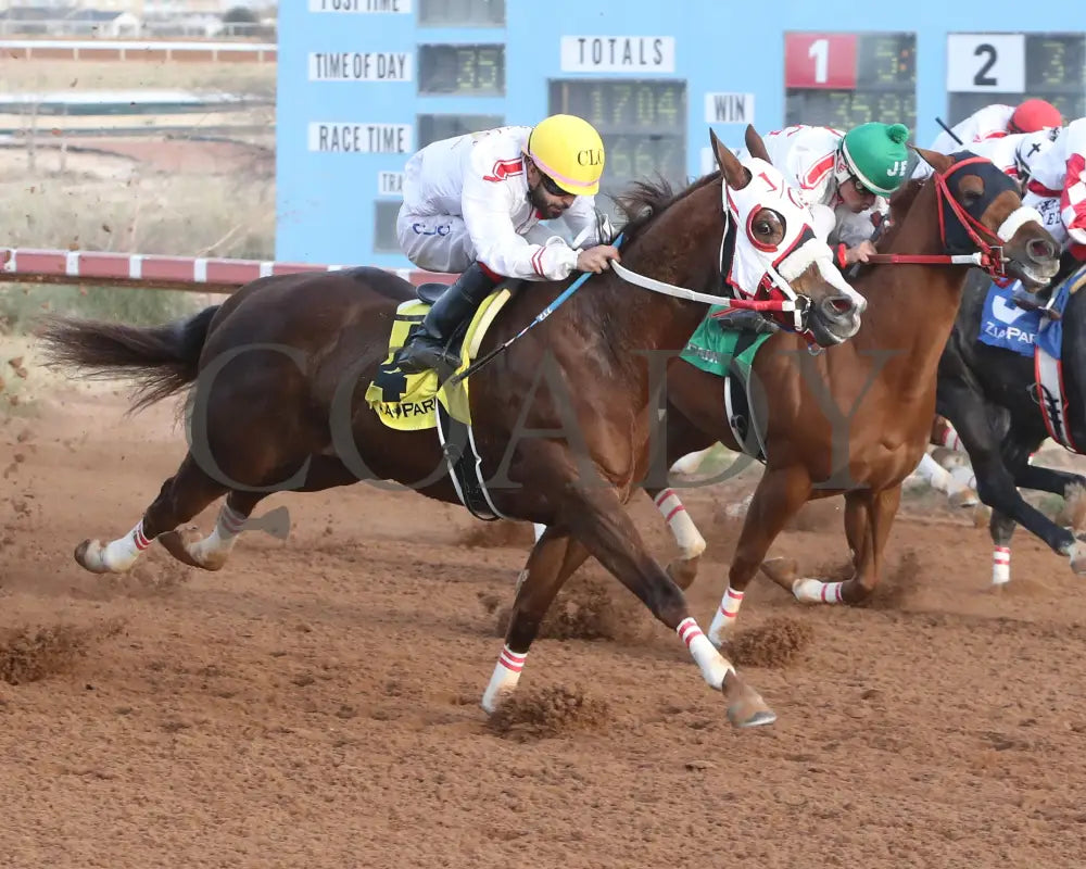 Drest For Success - New Mexico Classic Derby 12-15-24 R11 Zia Park Stretch