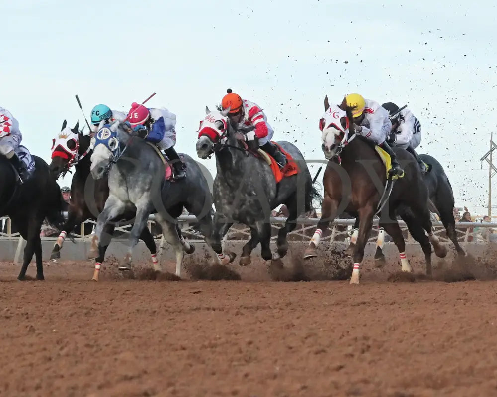 Drest For Success - New Mexico Classic Derby 12-15-24 R11 Zia Park Under Rail
