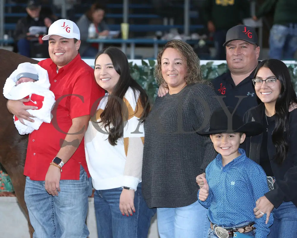 Drest For Success - New Mexico Classic Derby 12-15-24 R11 Zia Park Winner’s Circle