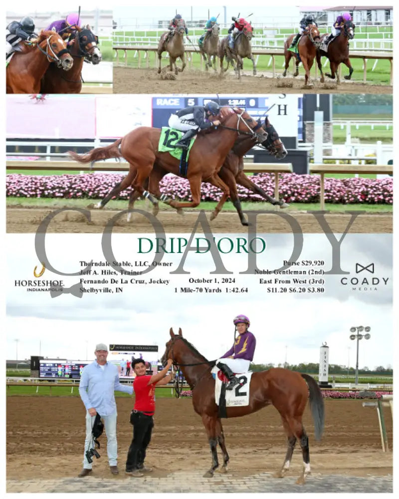Drip D’oro - 10-01-24 R05 Ind Indiana Grand