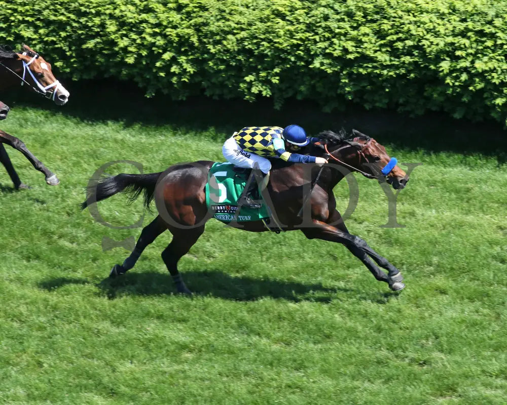 Du Jour - The American Turf G2 30Th Running 05-01-21 R09 Cd Aerial Finish 01 Churchill Downs