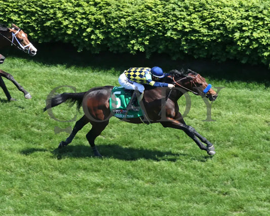 Du Jour - The American Turf G2 30Th Running 05-01-21 R09 Cd Aerial Finish 01 Churchill Downs