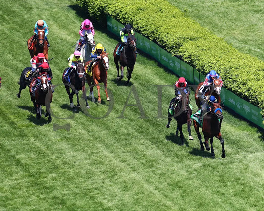 Du Jour - The American Turf G2 30Th Running 05-01-21 R09 Cd Aerial Head On 01 Churchill Downs