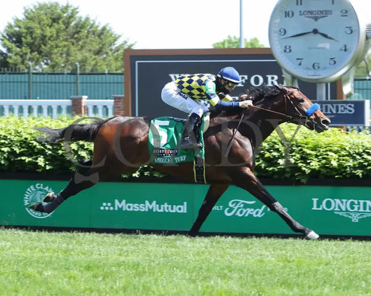 Du Jour - The American Turf G2 30Th Running 05-01-21 R09 Cd Finish 001 Churchill Downs