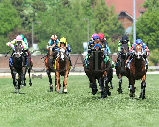 Du Jour - The American Turf G2 30Th Running 05-01-21 R09 Cd Head On 002 Churchill Downs