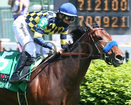 Du Jour - The American Turf G2 30Th Running 05-01-21 R09 Cd Tight Finish 001 Churchill Downs