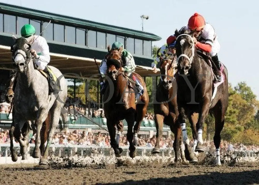 Dubai Majesty - Thoroughbred Club Of America Keeneland