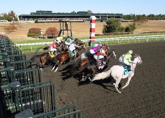 Dubai Majesty - Thoroughbred Club Of America Keeneland