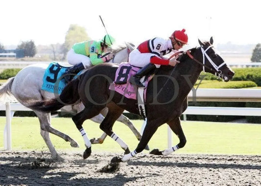 Dubai Majesty - Thoroughbred Club Of America Keeneland