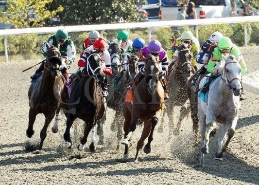 Dubai Majesty - Thoroughbred Club Of America Keeneland