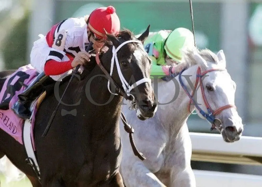 Dubai Majesty - Thoroughbred Club Of America Keeneland