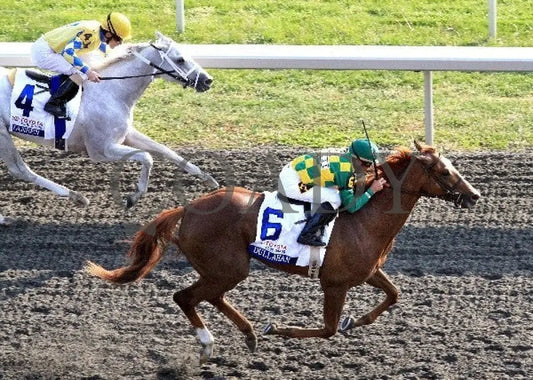 Dullahan - 041412 Race 11 Aerial Keeneland