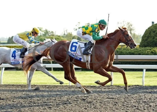 Dullahan - 041412 Race 11 Fin Keeneland