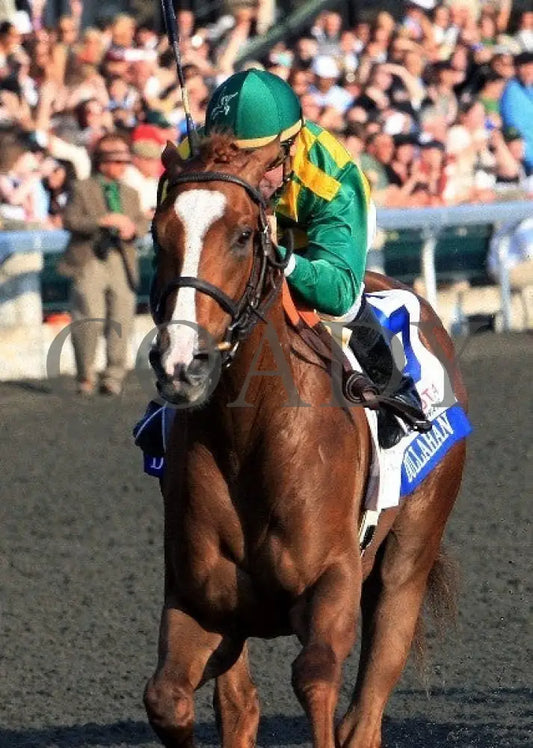Dullahan - 041412 Race 11 Inside Fin Keeneland