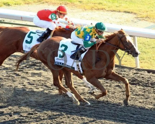 Dullahan - Aerial 100811 Race 08 Keeneland