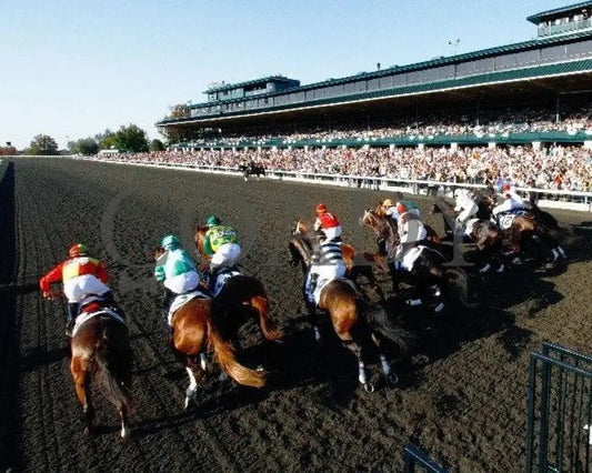 Dullahan - Gate 100811 Race 08 Keeneland