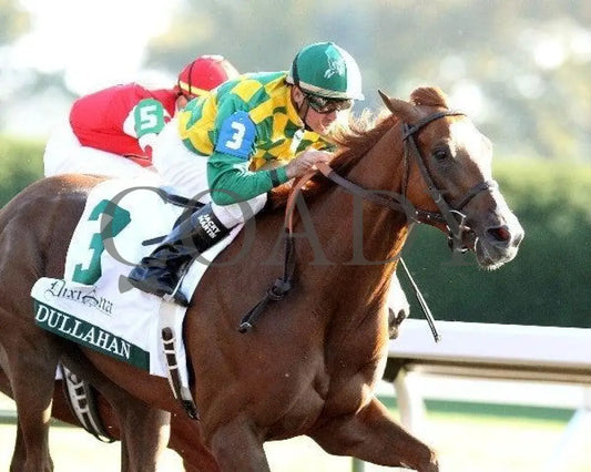 Dullahan - Tight Finish 100811 Race 08 Keeneland