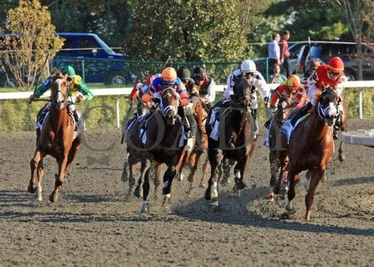 Dullahan - Turn 1 100811 Race 08 Keeneland