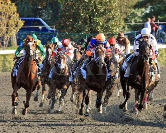 Dullahan - Turn 100811 Race 08 Keeneland